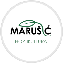 Hortikultura Marušić