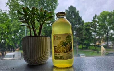 OPG Benjamin Knezičić – Sok od bazge Đakovo